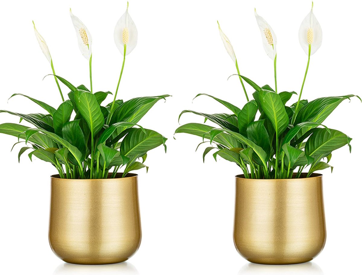 La'Moussawi ® Stijlvolle Gouden Metalen Bloempotten Set voor Binnen en Buiten Gebruik