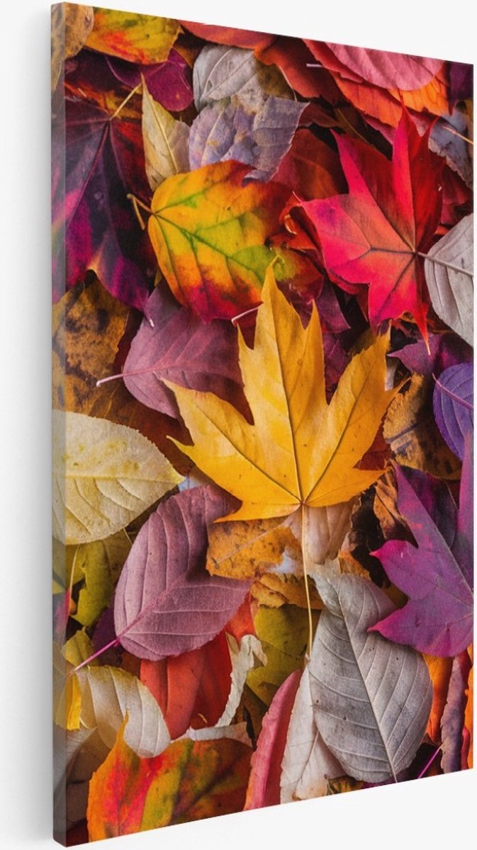 Saammp Canvas Schilderij - Geel Blad - Herfst - Landschap - Natuur - 40x50 - Foto op canvas - Wanddecoratie - Muurdecoratie Woonkamer - Slaapkamer decoratie - Canvas Print Multicolor