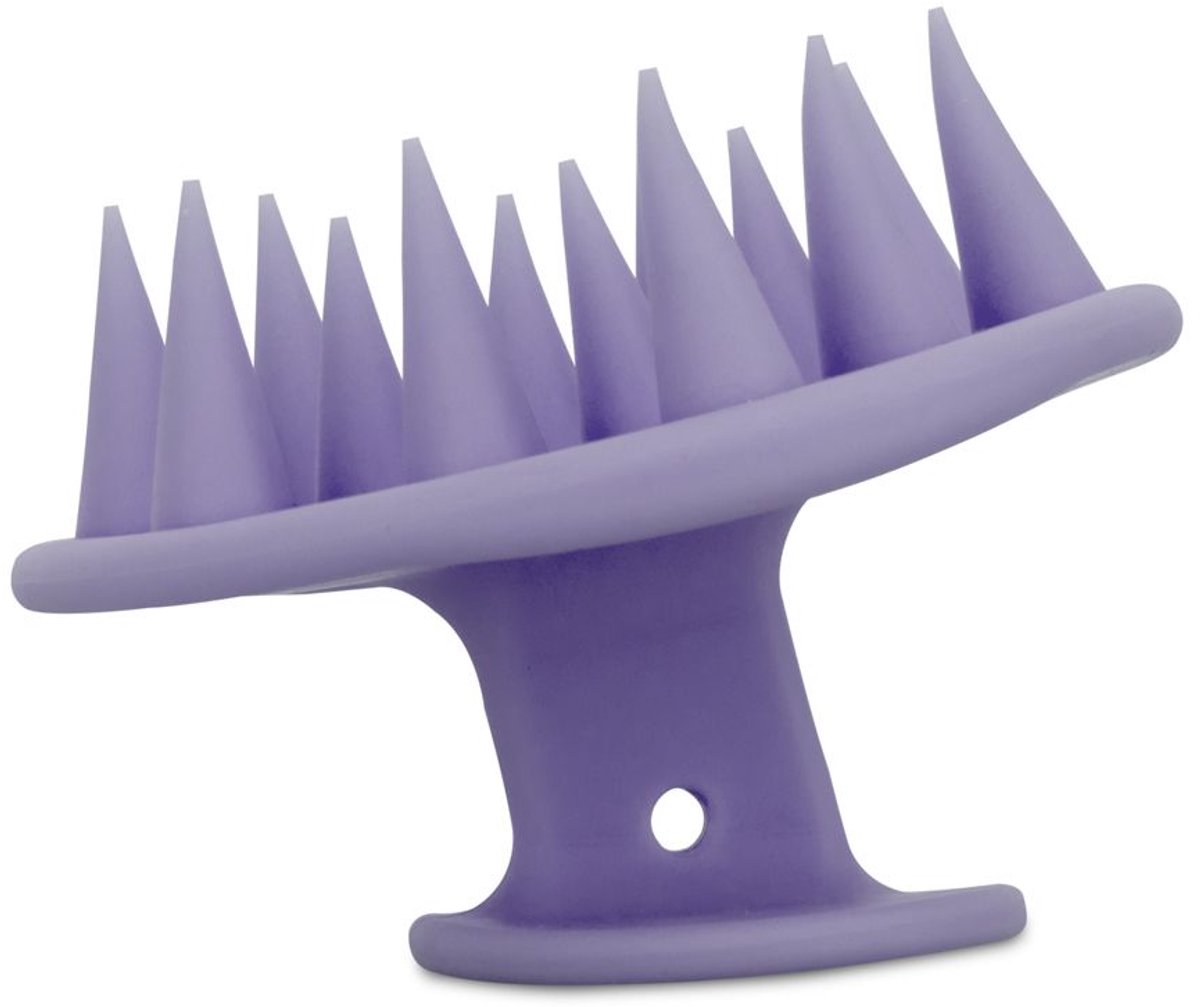 Goedkoopste Haarmassager - Paars