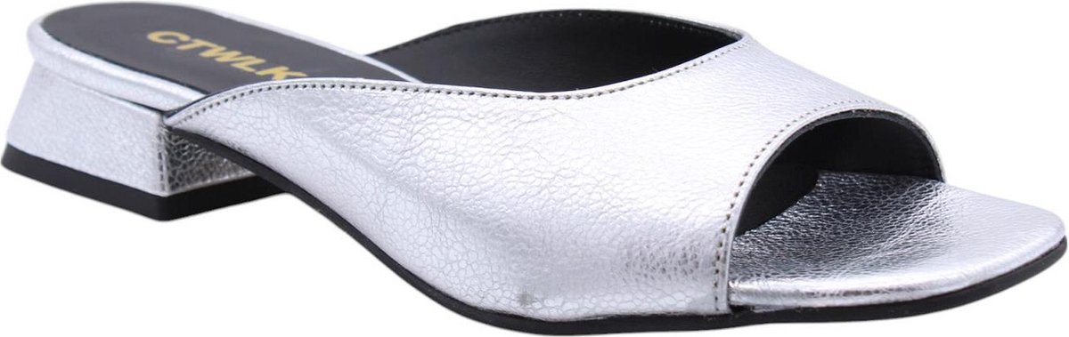 Ctwlk - Schoenen - Zilver - Vrouwen - Maat 36 -