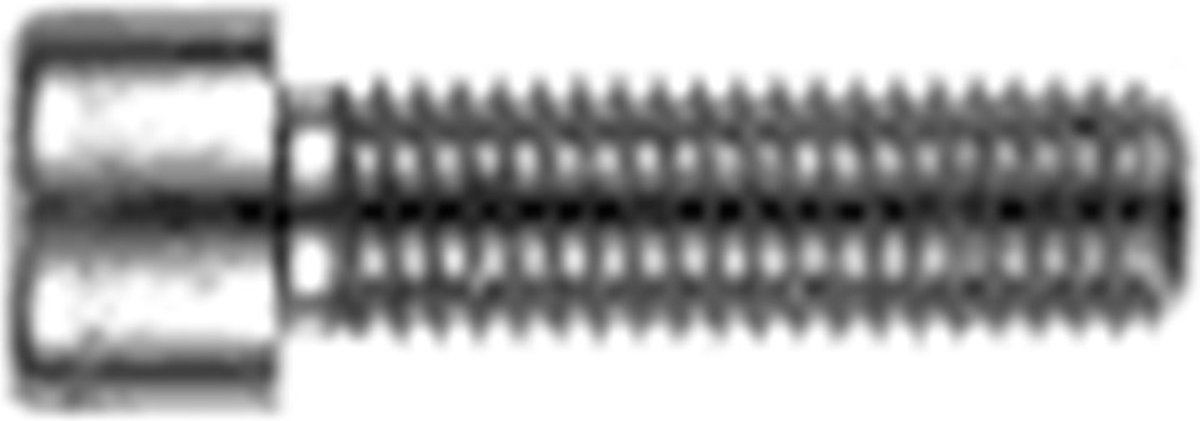Hoenderdaal Fasteners - Binnenzeskantbout - RVS - A2 - CK - IB-5 - DIN912 M6X20 (200 stuks)