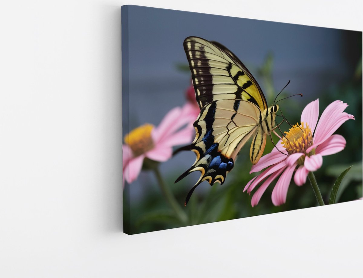 Saammp Canvas Schilderij - Vlinder op bloem - Natuur - Dieren - 50x40 - Foto op canvas - Wanddecoratie - Muurdecoratie Woonkamer - Slaapkamer decoratie - Canvas Print Multicolor