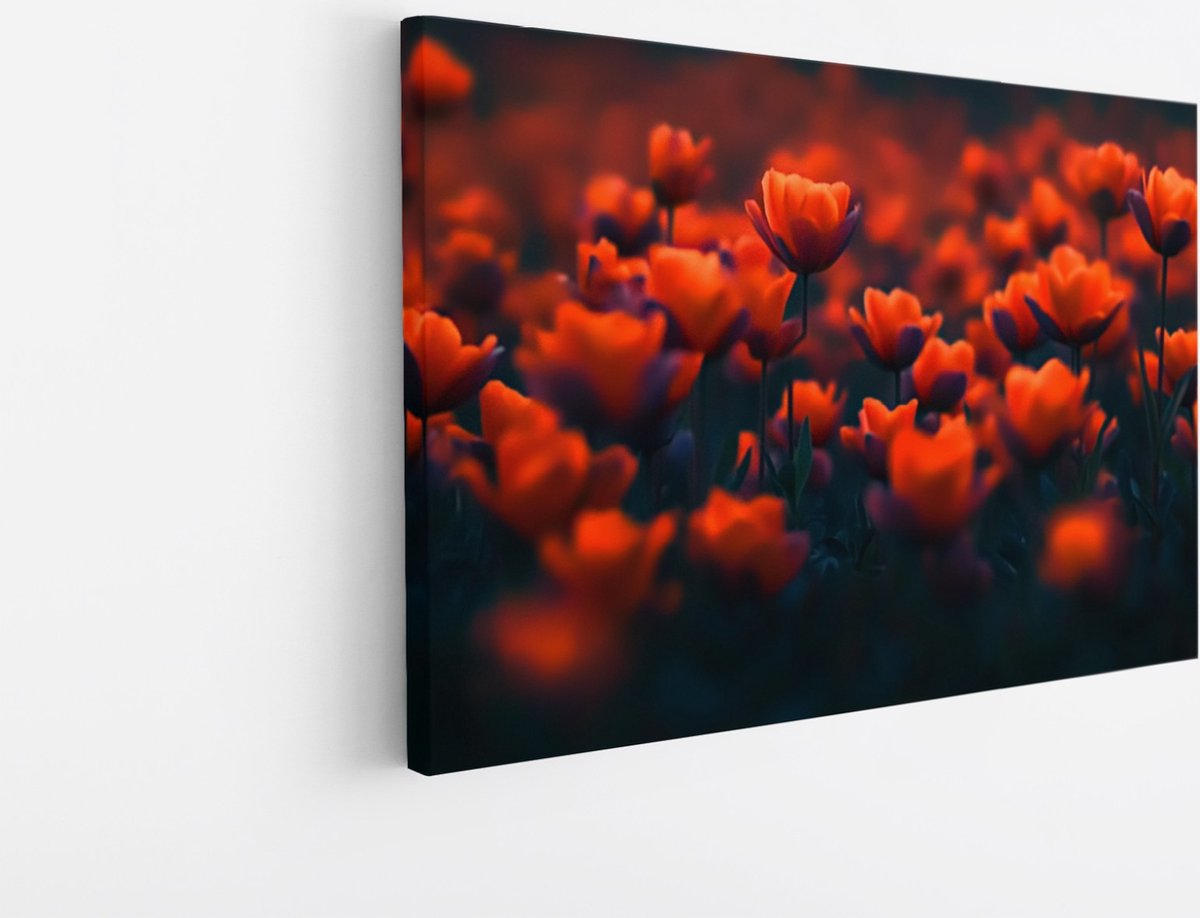 Saammp Canvas Schilderij - Oranje Bloemenveld - Natuur - Abstract - 45x30 - Foto op canvas - Wanddecoratie - Muurdecoratie Woonkamer - Kantoor Decoratie Multicolor