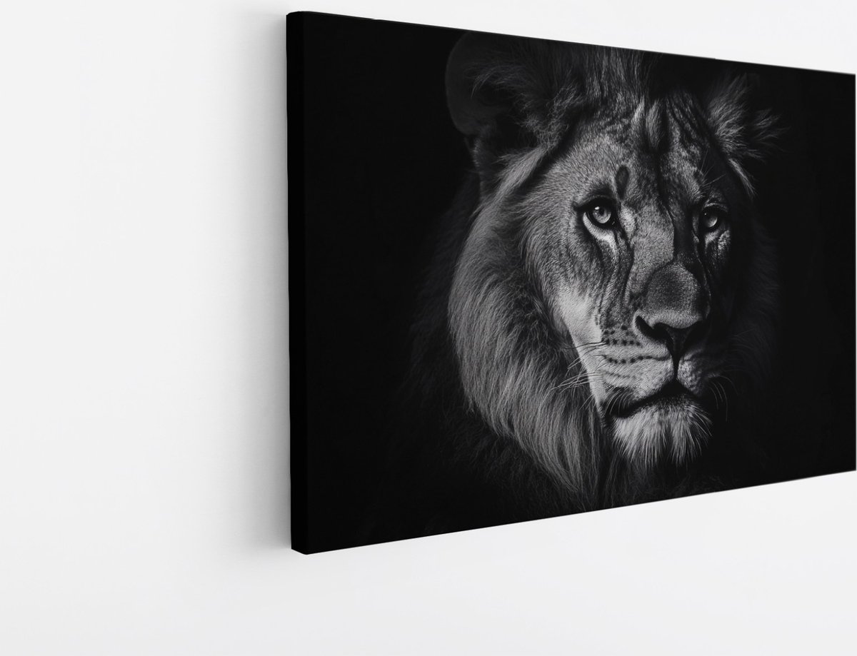 Saammp Canvas Schilderij - Leeuwen portret - Zwart-Wit - Afrika - Dieren - Natuur - 30x20 - Foto op canvas - Wanddecoratie - Muurdecoratie Woonkamer - Slaapkamer decoratie - Canvas Print Multicolor