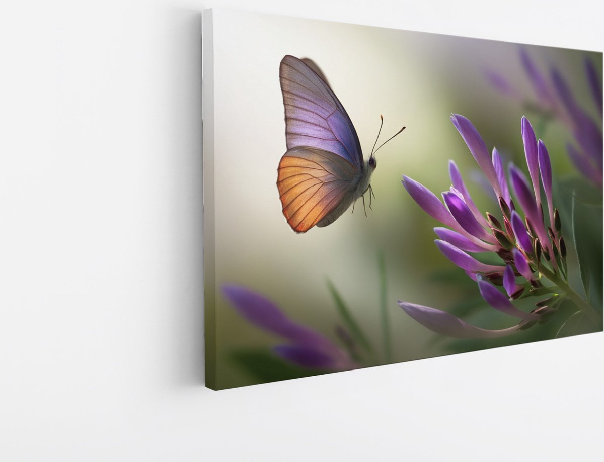 Saammp Canvas Schilderij - Vlinder naar paarse bloem - Natuur - Dieren - 50x40 - Foto op canvas - Wanddecoratie - muurdecoratie Woonkamer - Slaapkamer decoratie - Canvas Print Multicolor