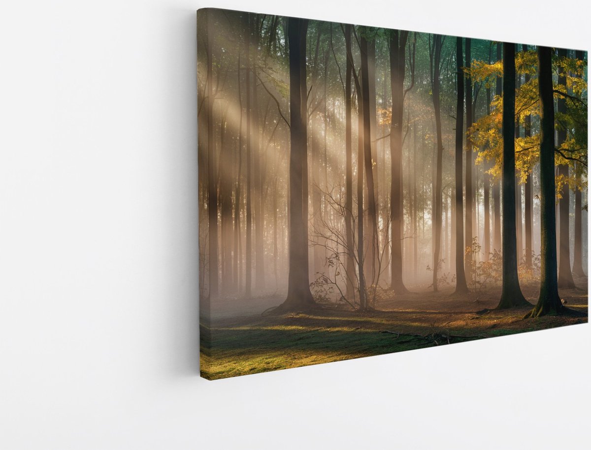 Saammp Canvas Schilderij - Bos met zonneschijn- Landschap - Bloemen - Natuur - 100x75 - Foto op canvas - Wanddecoratie - Muurdecoratie Woonkamer - Slaapkamer decoratie - Canvas Print Multicolor