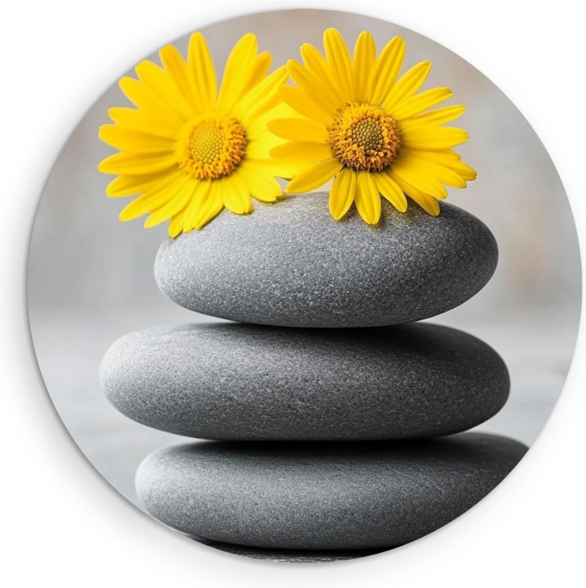 Saammp Forex Muurcirkel - Gele bloemen op stenen - Natuur - Landschap - Ø 60 - Wandcirkel - Wanddecoratie Cirkel - Muurdecoratie Woonkamer - Slaapkamer decoratie - Rond Schilderij