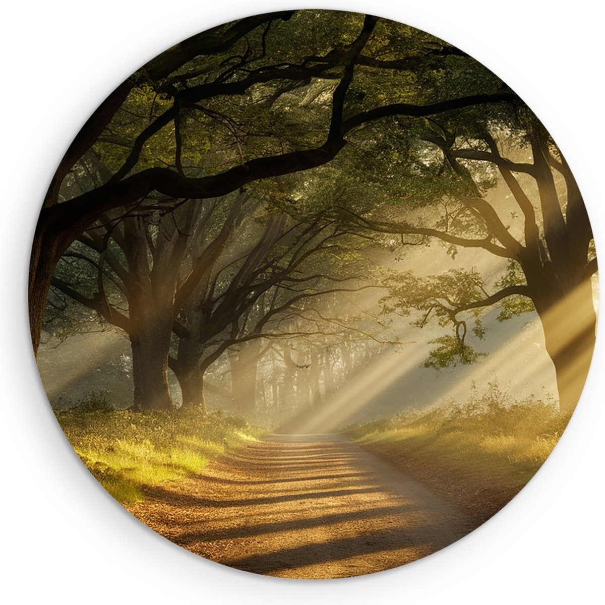 Saammp Muurcirkel Hout - Landschap - Zonneschijn op een pad tussen de bomen - Natuur - Ø 70 - Wandcirkel - Wanddecoratie Cirkel - Muurdecoratie Woonkamer - Slaapkamer decoratie - Rond Schilderij