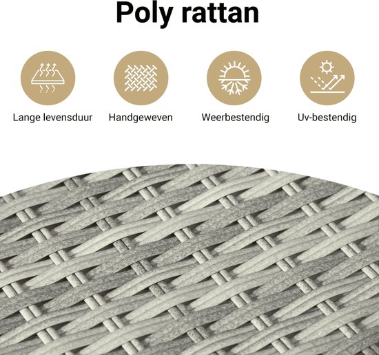 vidaXL-10-delige-Loungeset-met-kussens-poly-rattan-grijs