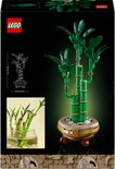 Boîte LEGO Botanicals Lucky Bamboo, avec bambou vert et dimensions.