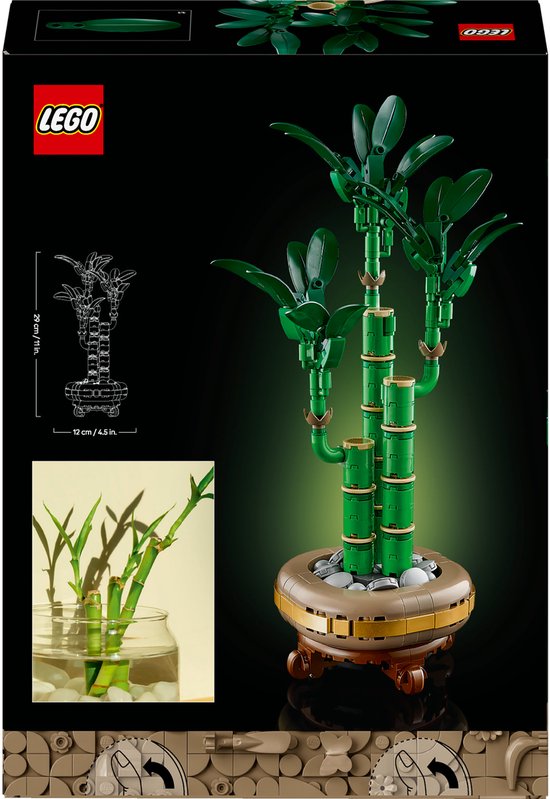 Boîte LEGO Botanicals Lucky Bamboo, avec bambou vert et dimensions.