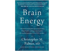 Brain Energy