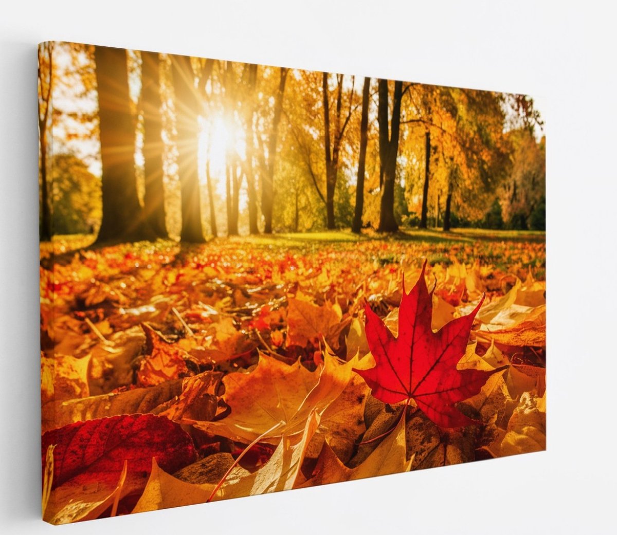Saammp Canvas Schilderij - Rood Herfst Blad - Natuur - Bloemen - 40x30 - Foto op canvas - Wanddecoratie - Muurdecoratie Woonkamer - Slaapkamer decoratie - Canvas Print Multicolor
