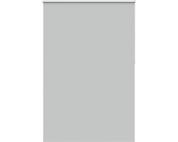 vidaXL - Rolgordijn - verduisterend - 160x210 - cm - stofbreedte - 156,6 - cm