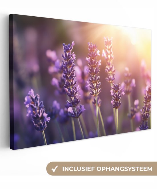 Canvas schilderij 90x60 cm - Exclusieve wanddecoratie Lavendelbloemen - Paars - Zonlicht - Muurdecoratie woonkamer - Slaapkamer decoratie - Kamer accessoires - Schilderijen op canvas