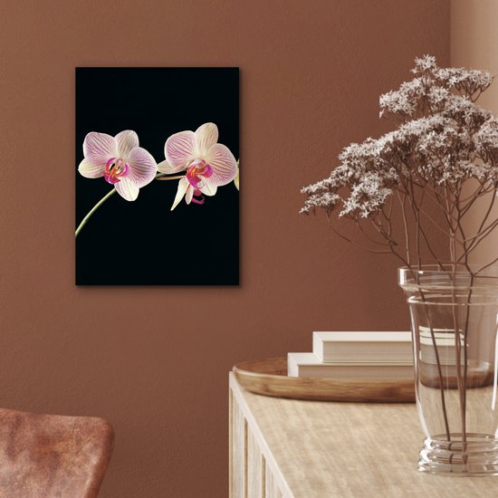Décoration murale Métal - Peinture Aluminium Industriel - Orchidée - Fleurs - Zwart - Rose - Boutons - 30x40 cm - Dibond - Photo sur aluminium - Décoration murale industrielle - Pour le salon/chambre