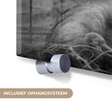 Product afbeelding  8