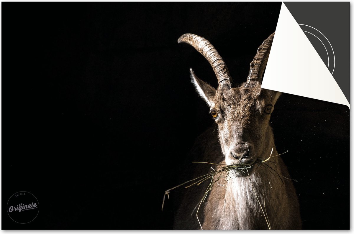 Inductie beschermer 77x51 - afdekplaat inductie mat - Dietrix Kookplaat beschermer - DELUXE - Dieren Geit Gras