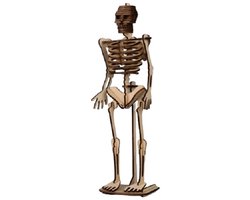 De Bouwplaats Houten bouwpakket skelet van een mens - 45 onderdelen