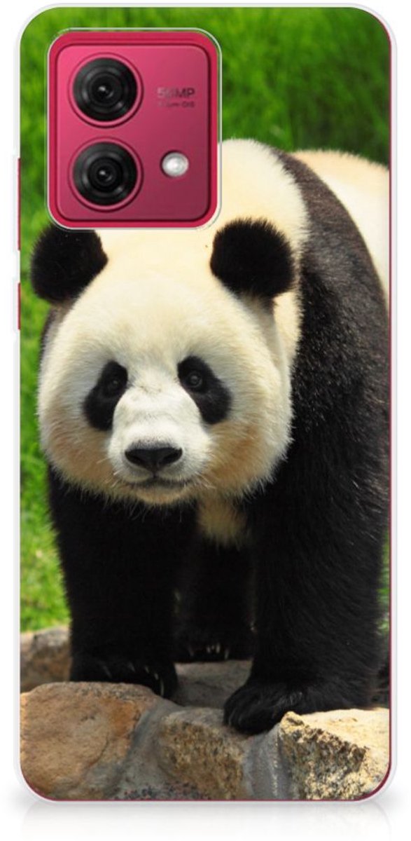 Motorola Moto G84 TPU Hoesje Panda