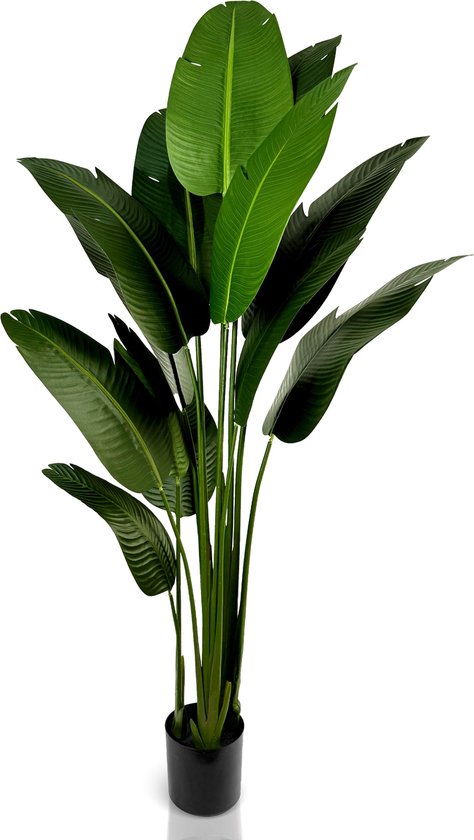 IvoQ Strelitzia Kunstplant 210 cm – Realistisch, Onderhoudsvrij & Duurzaam – Voor Binnen en Buiten – Groen en Duurzaam