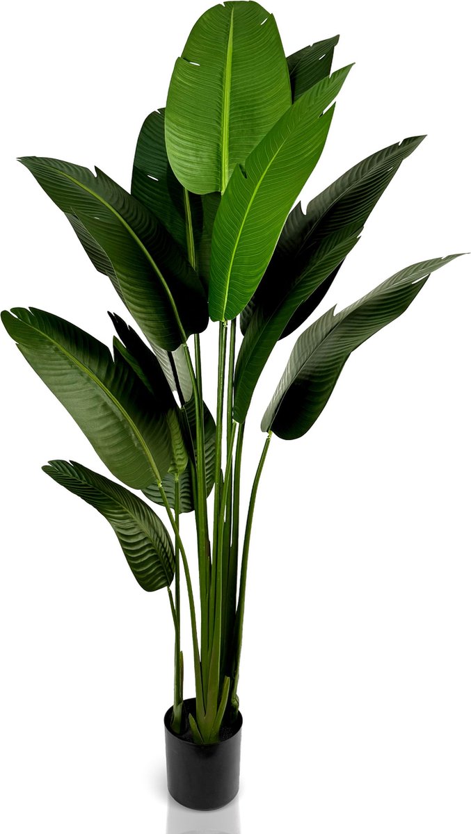 IvoQ Strelitzia Kunstplant 210 cm - Grote Paradijsvogelplant - Levensechte Nep Kamerplant voor Binnen - Onderhoudsvrij