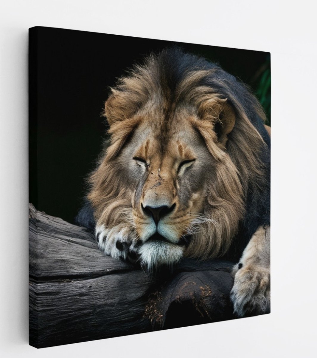 Saammp Canvas Schilderij - Leeuw op boomstronk - Dieren - Natuur - 40x40 - Foto op canvas - Wanddecoratie - Muurdecoratie Woonkamer - Slaapkamer decoratie - Canvas Print Multicolor