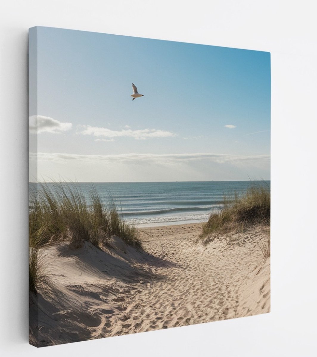 Saammp Canvas Schilderij - Strand En Zee - Vogel - Pad Vanuit de duinen - 40x40 - Foto op canvas - Wanddecoratie - muurdecoratie Woonkamer - Slaapkamer decoratie - Canvas Print Multicolor