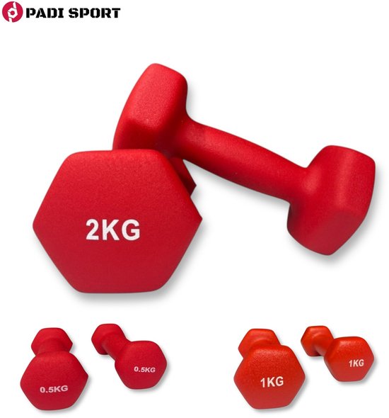 Paire D'Haltères 1kg - Poids Gym Fitness Pour Enfants Ou Débutants
