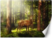 Trend24 - Behang - Hert In Het Bos - Vliesbehang - Fotobehang Dieren - Behang Woonkamer - 150x105 cm - Incl. behanglijm