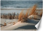 Trend24 - Behang - Duinen Aan De Oostzee - Vliesbehang - Fotobehang Natuur - Behang Woonkamer - 350x245 cm - Incl. behanglijm