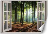 Trend24 - Behang - Venster - Ochtend In Het Bos - Vliesbehang - Fotobehang Natuur - Behang Woonkamer - 210x150 cm - Incl. behanglijm