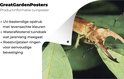 Gedetailleerde foto van een tuinposter met een bruin vliegend hert op groene bladeren.