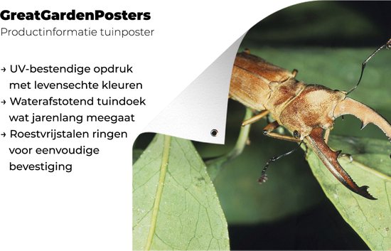 Gedetailleerde foto van een tuinposter met een bruin vliegend hert op groene bladeren.