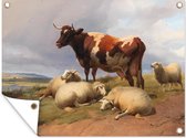 Tuin decoratie Rundvee en schapen in een weide - Schilderij van Thomas Sidney Cooper - 40x30 cm - Tuindoek - Buitenposter