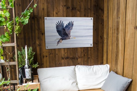 Posters de jardin extérieur Aigle avec poisson au-dessus de l'eau - 90x60 cm - Toile de jardin - Affiche extérieure