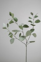 Kunsttak - Eucalyptus - topkwaliteit decoratie - 2 stuks - zijden plant - Grijs - 82 cm hoog