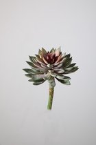 Kunstplant - Succulent - vetplant - topkwaliteit decoratie - 2 stuks - zijden tak - Groen - 20 cm hoog
