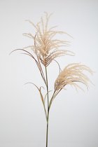 Kunsttak - gekleurde riet - topkwaliteit decoratie - 2 stuks - zijden tak - Naturel - 137 cm hoog