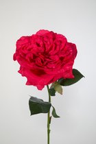 Kunstbloem - Engelse roos - topkwaliteit decoratie - 2 stuks - zijden bloem - Fuchsia - Cerise - 60 cm hoog