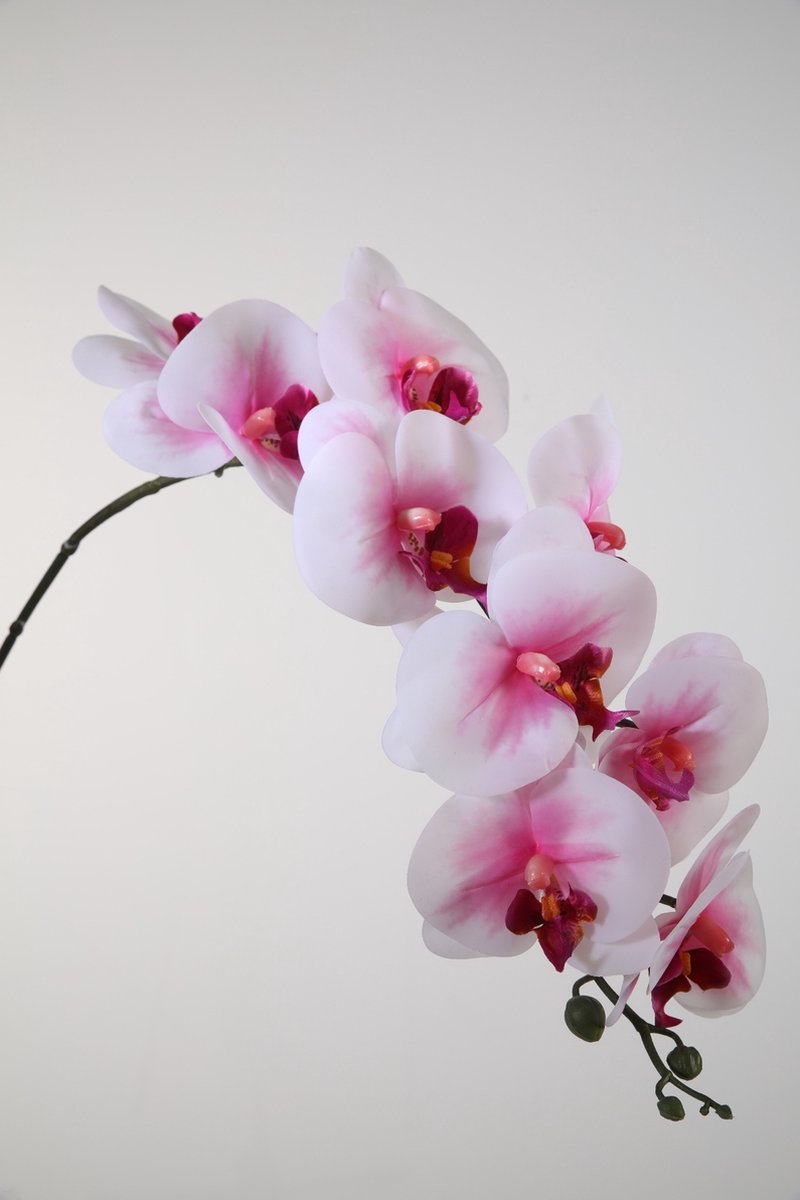 Kunstbloem - Phalaenopsis - vlinderorchidee - topkwaliteit decoratie - 2 stuks - zijden bloem - Roze - 86 cm hoog