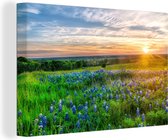 Canvas Schilderij Zonsondergang boven Texas Bluebonnet bloemen - 120x80 cm - Wanddecoratie