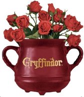 Harry Potter - Cauldron Gryffindor - Wall mounted flower pot