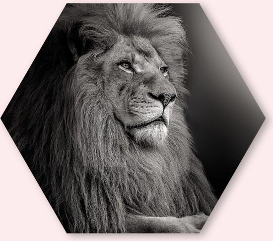 Lion Black/White - Forex Hexagon - Dieren - Wanddecoratie