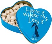 SANAL HART BLIK HOME IS HOND 60GR
