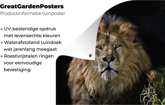 Décoration de Jardin Lions - Chasse - Portrait - 30x40 cm - Toile de jardin