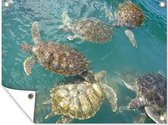 Tuin decoratie Schildpadden die samen in het helderblauwe water bij Grand Cayman zwemmen - 40x30 cm - Tuindoek - Buitenposter