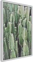 Poster - Cactus Plantation