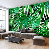 Fotobehang - Tropical Leaves.