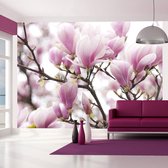 Fotobehang - Magnolia bloosom.